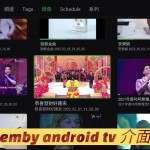 DTMB高清地面數碼電視接收機 RQD8008-5 DTMB神棒代替品（2路天線接收）